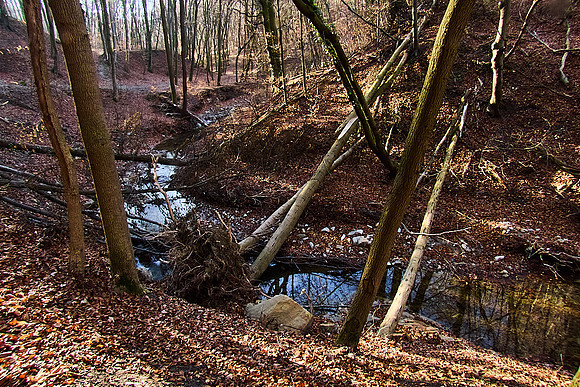 Hagenbachklamm_(c)_Nadja Meister_IMG_1765
