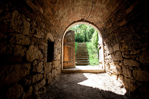 Weinviertel, 12keller.at, Weinkeller, Kellergasse, Presshaus, Wein, Sitzendorf, Niederösterreich