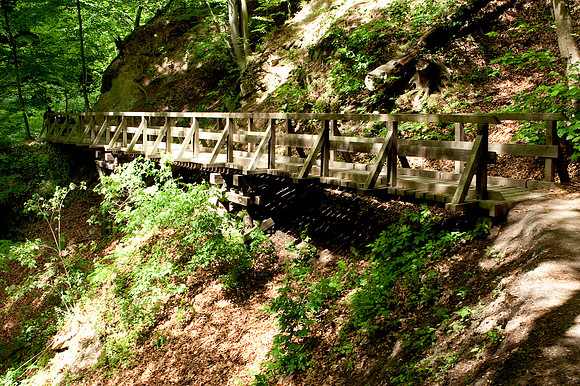 Wienerwald_by Nadja Meister_MG_2724