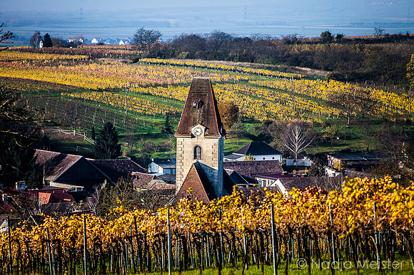Landpartie WAGRAM_Blattgold&Blattrot_(c)_Nadja Meister_IMG_7086