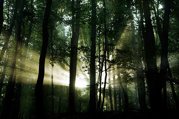 Wienerwald_by Nadja Meister_MG_0281