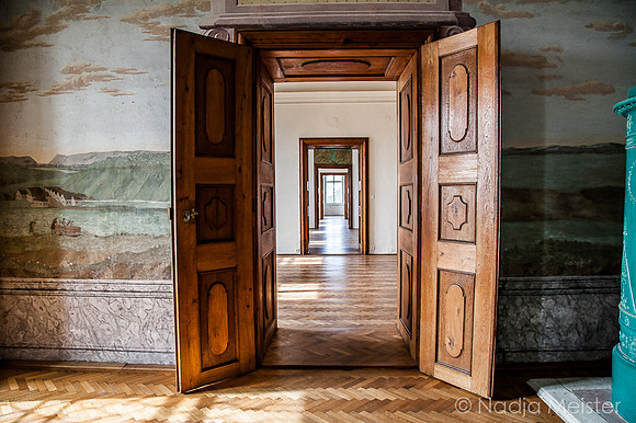 Landpartie WAGRAM_Stetteldorf_Schloss&Platane_(c)_Nadja Meister_IMG_2302