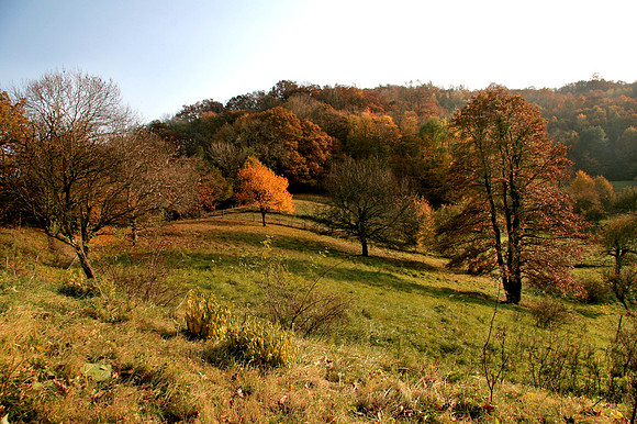 Wienerwald_by Nadja Meister_MG_1234