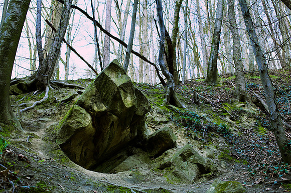 Naturkraft Tanzkraft_by_Nadja Meister_IMG_2543