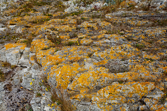 Stones of Estonia_by_Nadja Meister_IMG_2803
