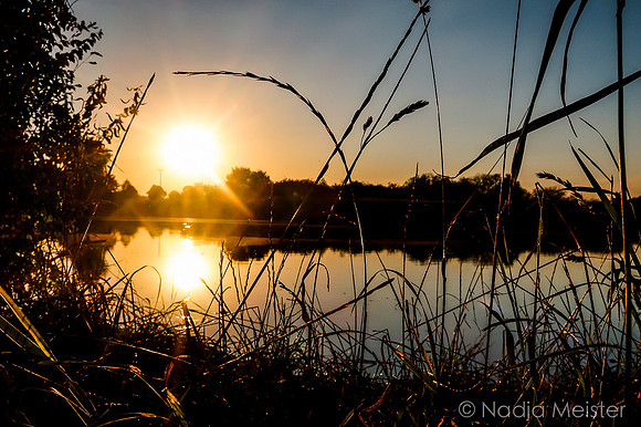 Trebonsko_(c)_Nadja Meister_IMG_0511