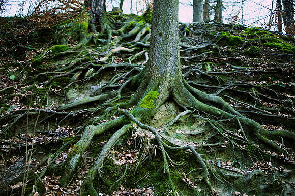 Naturkraft Tanzkraft_by_Nadja Meister_IMG_9726