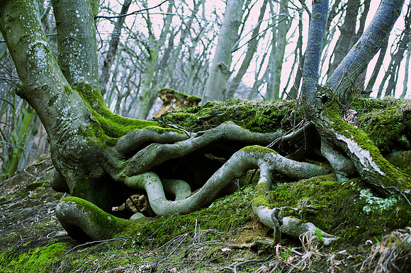 Naturkraft Tanzkraft_by_Nadja Meister_IMG_9985