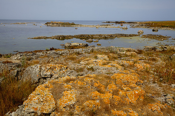 Stones of Estonia_by_Nadja Meister_IMG_2809