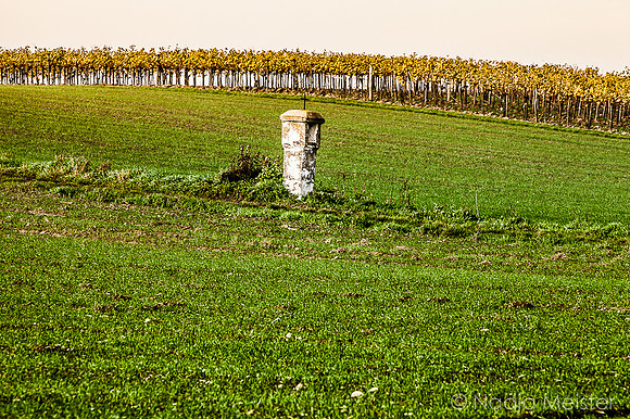 Landpartie WAGRAM & Auf dem Echo der Wellen_(c)_Nadja Meister_IMG_7229