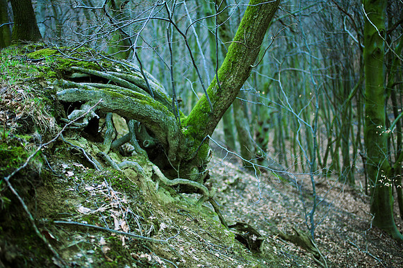 Naturkraft Tanzkraft_by_Nadja Meister_IMG_9988
