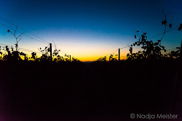 Landpartie WAGRAM & Weitblick_(c)_Nadja Meister_DSC01534