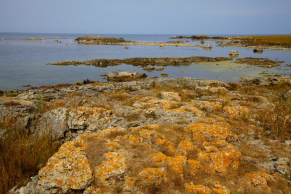 Stones of Estonia_by_Nadja Meister_IMG_2809