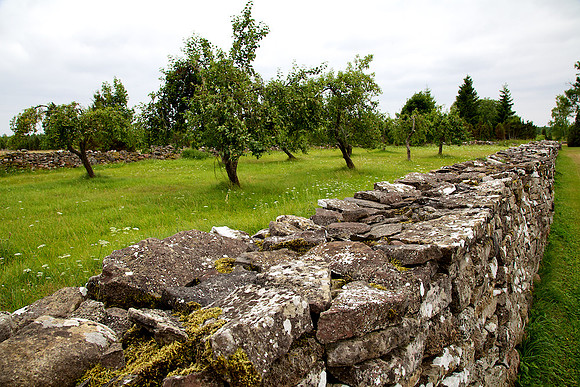 Stones of Estonia_by_Nadja Meister_IMG_2697