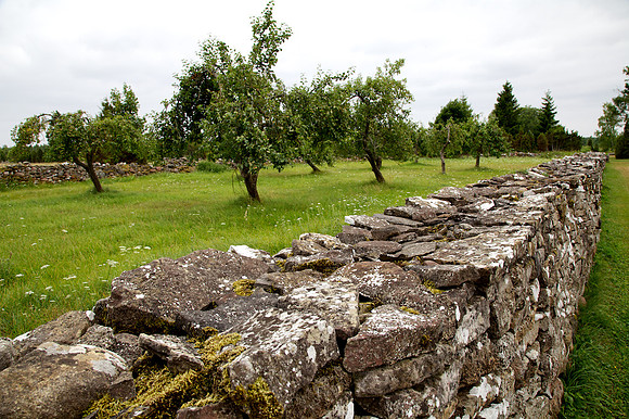 Stones of Estonia_by_Nadja Meister_IMG_2697