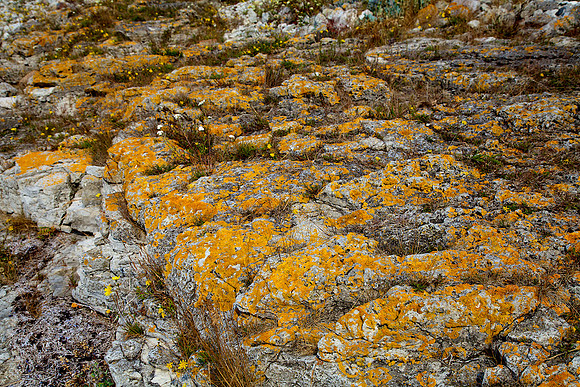 Stones of Estonia_by_Nadja Meister_IMG_2803
