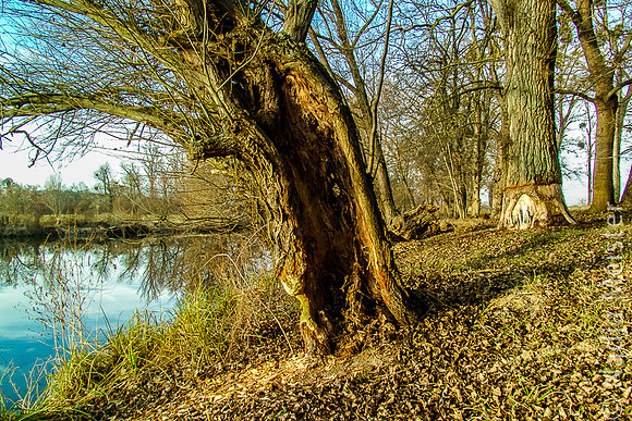Südmähren_by_Nadja Meister_IMG_5535