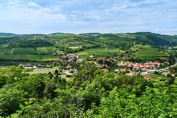 Schönberg am Kamp_(c)_Nadja Meister_ DSC00837