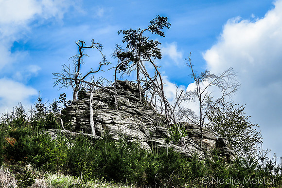 Weißenkirchen_by_Nadja Meister_IMG_6281
