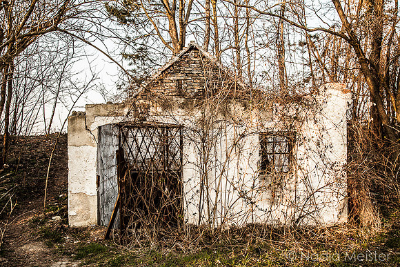 Kellegasse Wagram_by_Nadja Meister_IMG_3660