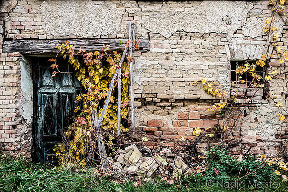 Kellegasse Wagram_by_Nadja Meister_IMG_8350
