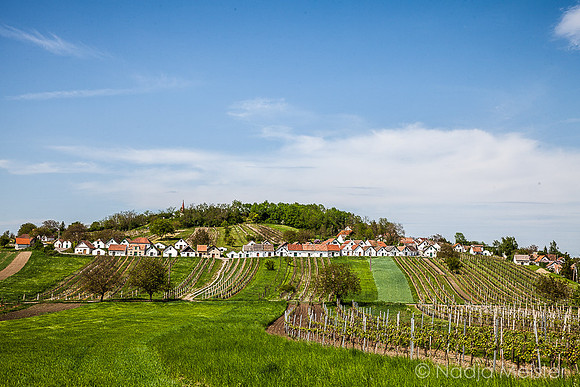 Galgenberg_by_Nadja Meister_IMG_6533