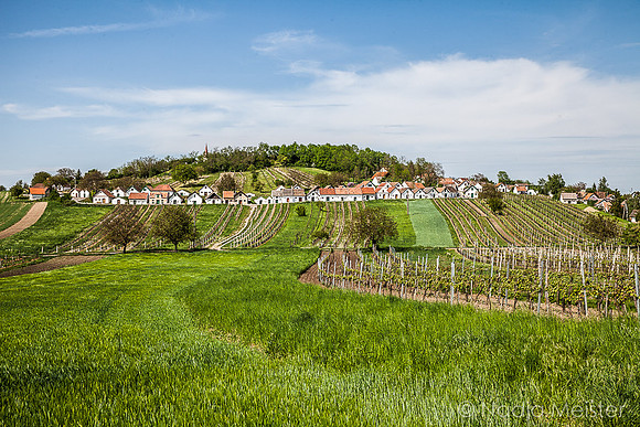 Galgenberg_by_Nadja Meister_IMG_6534