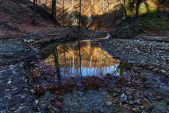 Hagenbachklamm_(c)_Nadja Meister_IMG_1800