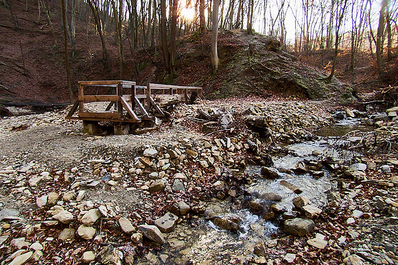 Hagenbachklamm_(c)_Nadja Meister_IMG_1783