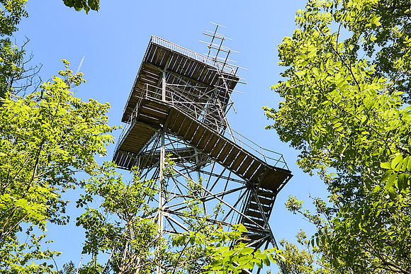 Wanderung Schöpfl_(c)_Nadja Meister_IMG_9347