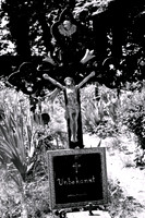 Friedhof der Namenlosen_(c)_Nadja Meister_