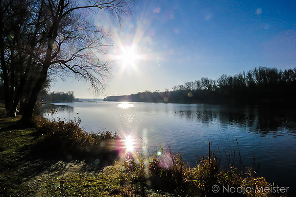 Landpartie WAGRAM & Weitblick_(c)_Nadja Meister_IMG_5434