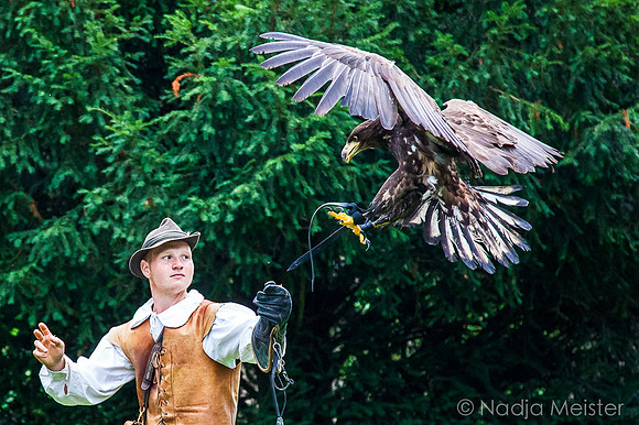 Rosenburg_Falkenhof_(c)_Nadja Meister_IMG_1690
