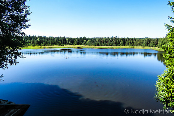 Schwarzenbergscher Schwemmkanal_by_Nadja Meister_IMG_8318
