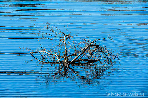 Schwarzenbergscher Schwemmkanal_by_Nadja Meister_IMG_8319