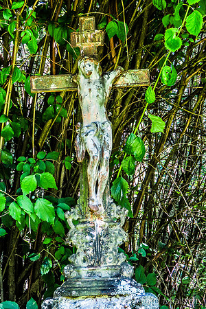 Schwarzenbergscher Schwemmkanal_by_Nadja Meister_IMG_8331