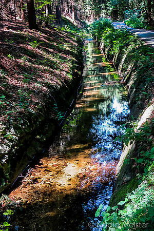 Schwarzenbergscher Schwemmkanal_by_Nadja Meister_IMG_8355