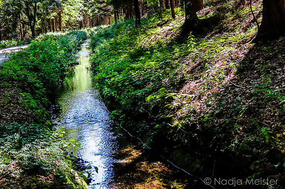 Schwarzenbergscher Schwemmkanal_by_Nadja Meister_IMG_8360