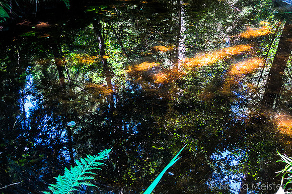 Schwarzenbergscher Schwemmkanal_by_Nadja Meister_IMG_8362