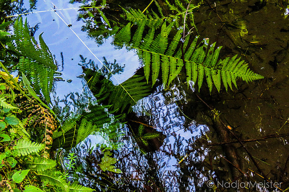 Schwarzenbergscher Schwemmkanal_by_Nadja Meister_IMG_8373