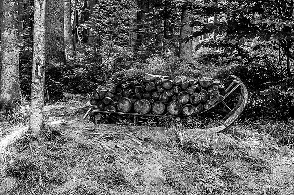 Schwarzenbergscher Schwemmkanal_by_Nadja Meister_IMG_8380-2