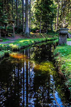 Schwarzenbergscher Schwemmkanal_by_Nadja Meister_IMG_8375