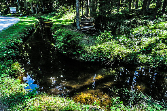 Schwarzenbergscher Schwemmkanal_by_Nadja Meister_IMG_8381