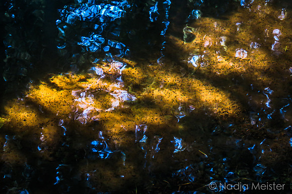 Schwarzenbergscher Schwemmkanal_by_Nadja Meister_IMG_8382