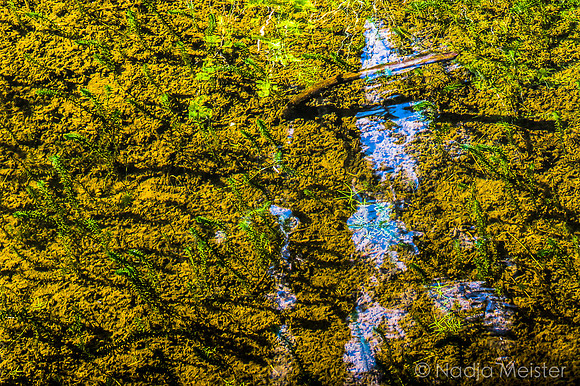 Schwarzenbergscher Schwemmkanal_by_Nadja Meister_IMG_8389