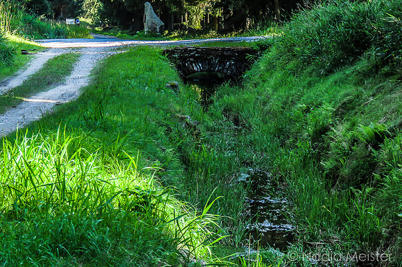 Schwarzenbergscher Schwemmkanal_by_Nadja Meister_IMG_8398