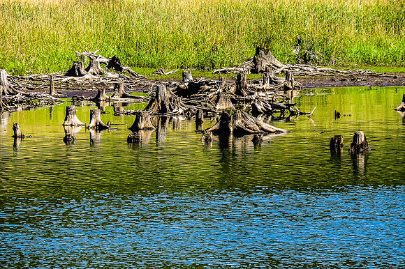 Schwarzenbergscher Schwemmkanal_by_Nadja Meister_IMG_8324