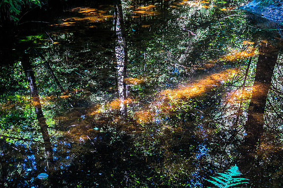 Schwarzenbergscher Schwemmkanal_by_Nadja Meister_IMG_8361