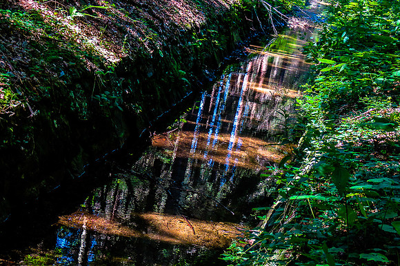 Schwarzenbergscher Schwemmkanal_by_Nadja Meister_IMG_8356
