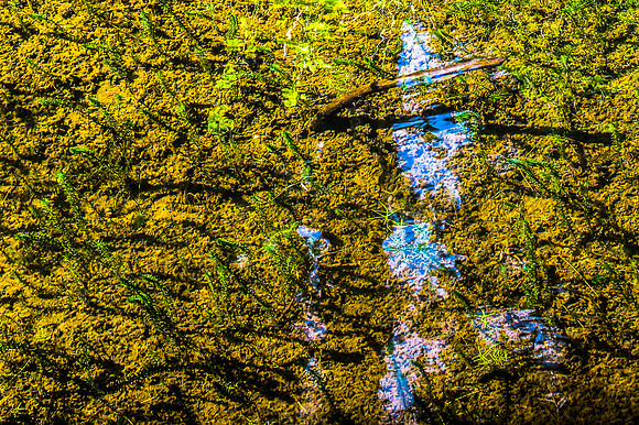Schwarzenbergscher Schwemmkanal_by_Nadja Meister_IMG_8389